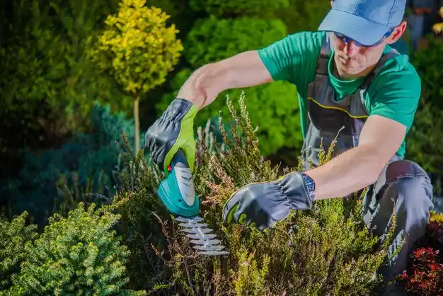 landscaping services Cut Off